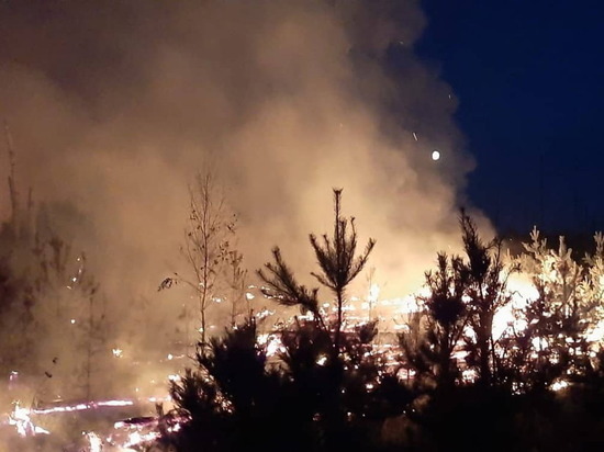 В Марий Эл не ведется сбор добровольцев на тушение пожара в Юринском районе