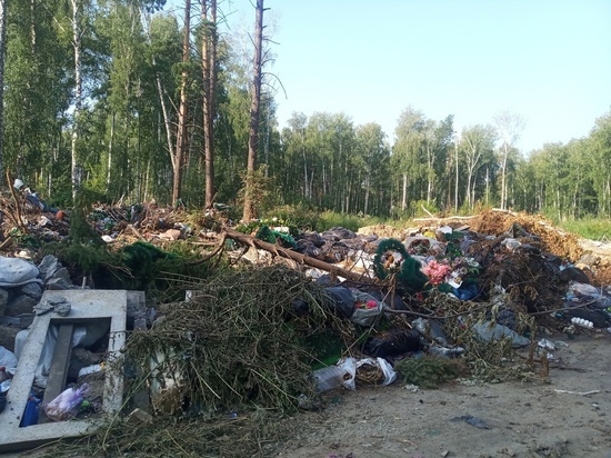 "Вандальный бардак" на Заельцовском кладбище возмутил жителей Новосибирска