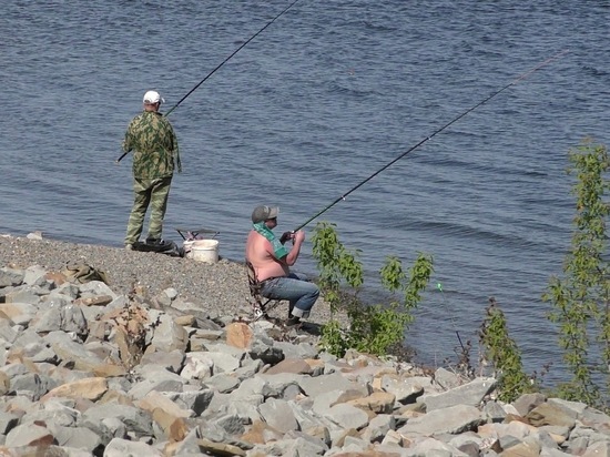 Волгоградцам посоветовали, когда в августе лучше ловить рыбу