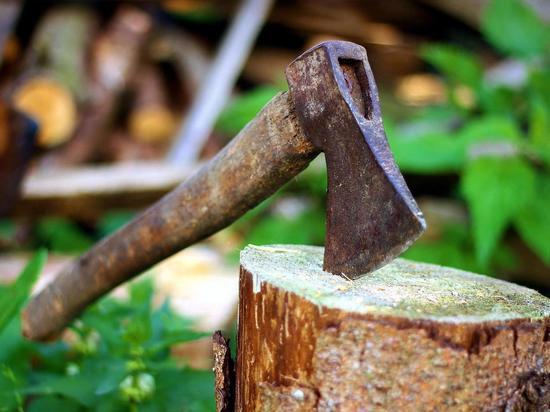 Лесоруб из Белогорского района мог отправиться в колонию за незаконную заготовку древесины