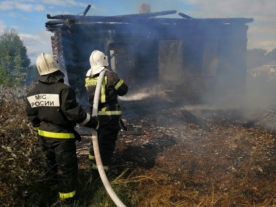 Почти 100 бань сгорели в Новгородской области с начала 2022-го