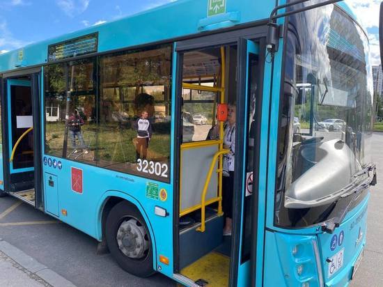 Более десяти лазурных автобусов вышли на маршрут № 206 в Красногвардейском районе