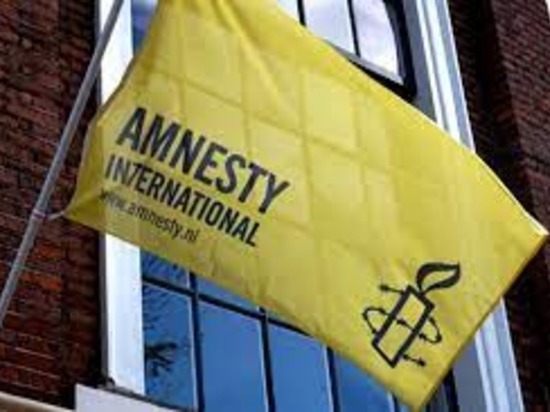 Скандальный доклад Amnesty International по Украине проверят «независимые эксперты»