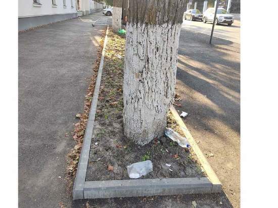 Снова не угодили: пензенцы раскритиковали ремонт дорог на ул.Лермонтова из-за погибающих деревьев