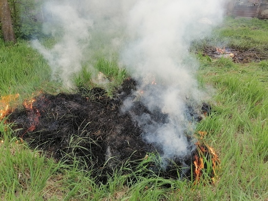 В Великом Новгороде объявили высокую пожароопасность лесов с 15 по 16 августа