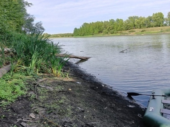 В Сампурском районе в пруду утонул мужчина