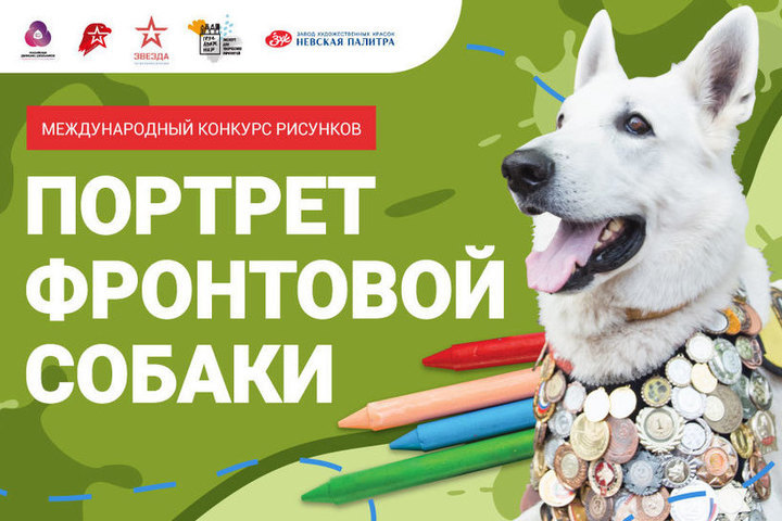Рисунки юных жителей Ярославской области вошли в виртуальную выставку «Портрет фронтовой собаки» Музея Победы