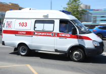 Стали известны подробности падения 8-летнего москвича с лошади в конно-спортивном комплексе Щелковского района 14 августа
