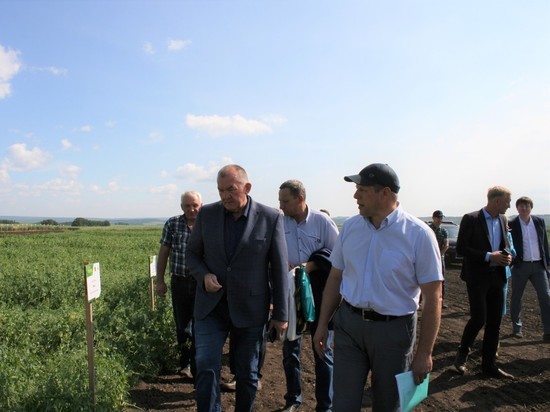 Перспективы развития семеноводства обсудили сельхозпроизводители Красноярского края