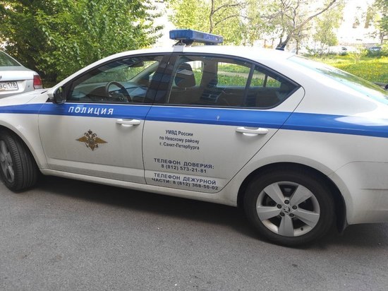 Полиция устроила погоню за петербуржцем с наркотиками в машине на Думской
