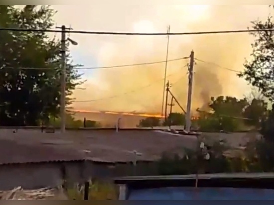 В Ростовской области ландшафтный пожар уничтожил три дома