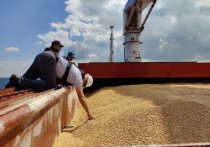 В воскресенье в Стамбул прибыло первое судно с украинской пшеницей на борту, вышедшее из Черноморска в рамках договорённостей о вывозе зерна с Украины