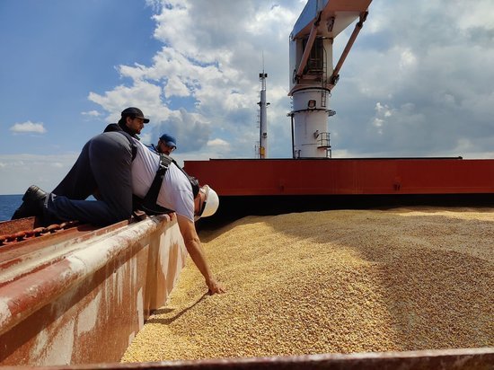 Вышедшее из Украины судно с пшеницей прибыло в Стамбул