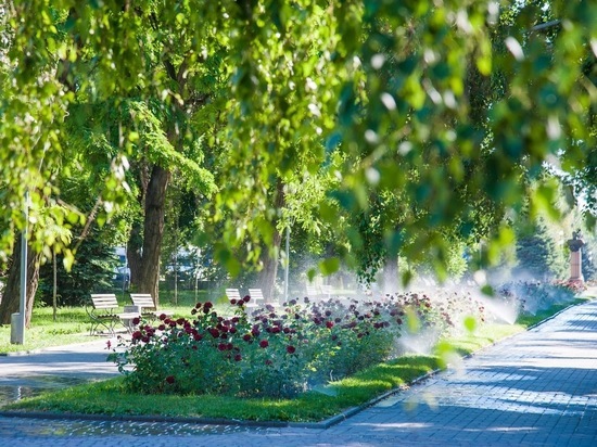 15 августа в Волгоградской области ожидается жара до +42 градусов