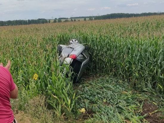 В Пронском районе машина с четырьмя детьми опрокинулась в поле с кукурузой