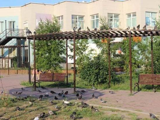 Жители Благовещенска жалуются на неосвещенные скверы