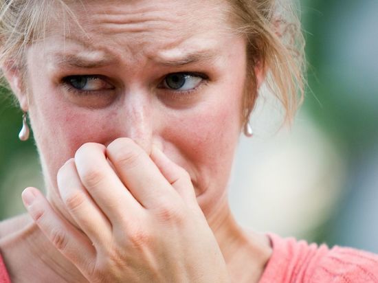 Минприроды СК: в Ставрополе мониторинг воздуха не выявил отклонений