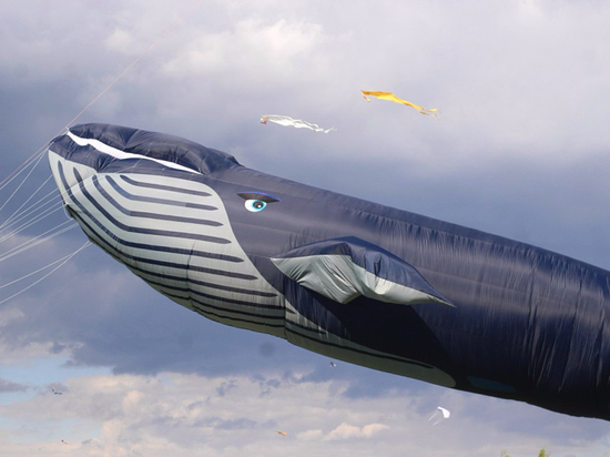В небе над Хабаровском проплывет 50-метровый кит
