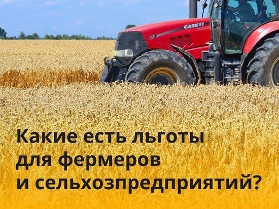 Аграрии Серпухова могут воспользоваться большим комплексом мер государственной поддержки