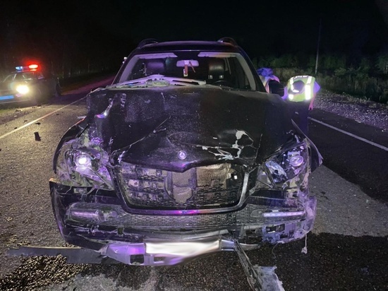 На автодороге «Тамбов-Шацк» в ДТП погиб водитель иномарки