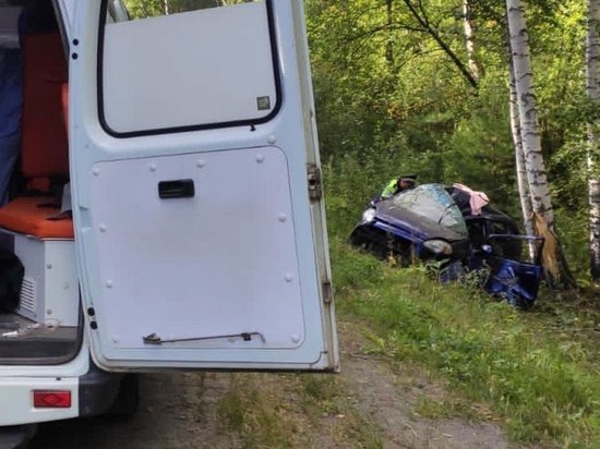 На Южном Урале дерево едва не рухнуло на машину: семья попала в больницу
