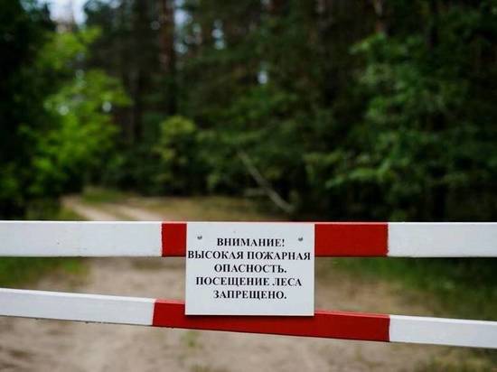 В регионе ограничили пребывание тамбовчан в лесах