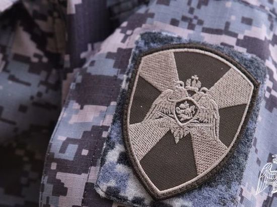 В Тамбовской области изъяли ещё 7 единиц нелегального оружия