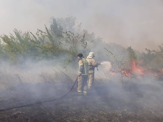 В Шахтах 58 спасателей тушат ландшафтный пожар