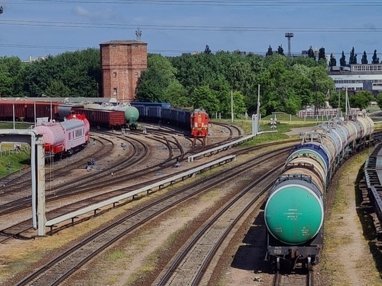 Сенатор Совфеда: российские власти не допустят остановку калининградского транзита