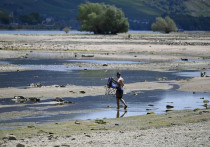 Европа из-за аномальной жары и засухи превращается в «долину смерти»