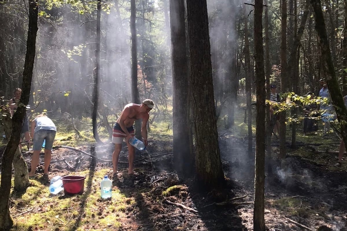 Пожар в лесу фото