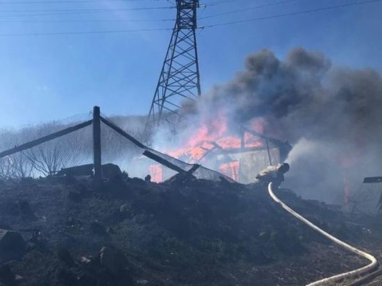 В Ростовской области лесной пожар перешёл на 20 жилых домов