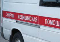 Проверку по поводу смерти 4-месячной малышки, которую, со слов матери, уронила с дивана собака, назначили московские следователи