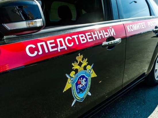 Расследуется дело о мошенничестве с участками в Петушинском районе