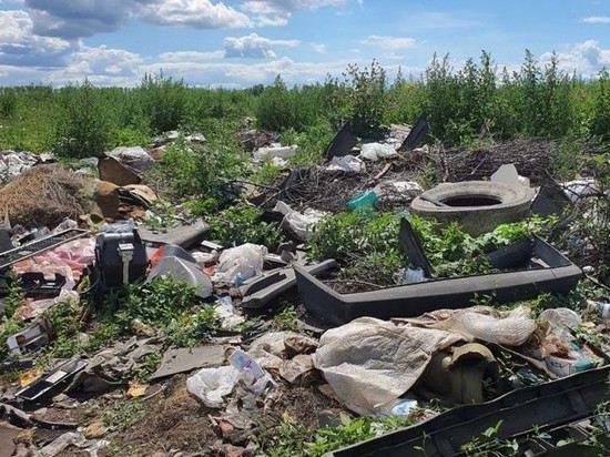 В 8 районах Новосибирской области нашли 15 несанкционированных свалок