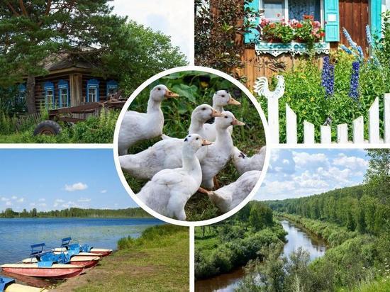 Не земля, а песня: дорожные заметки из Кыштовского района