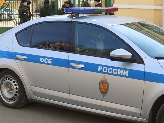 ФСБ задержала в Минводах сторонника "Правого сектора", готовившего поджоги