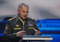 Россия выполняет обязательства по СНВ-3, заявленные уровни носителей и боеприпасов не нарушают лимиты, сообщил министр обороны Сергей Шойгу в ходе открытия Московской конференции по международной безопасности в рамках форума «Армия-2022»