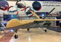Одна из примет форума «Армия» в этом году — широкое участие в нем иранской военной промышленности