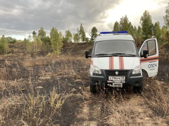 Жителя Пензенской области накажут за порчу урожая