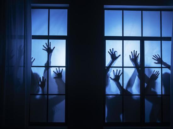 За «съемками фильма про зомби» в Мурино увидели срежиссированные протесты