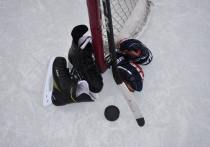 Клюшкой избил 10-летнего  воспитанника тренер в хоккейной секции спортивной школы в Западном округе столицы