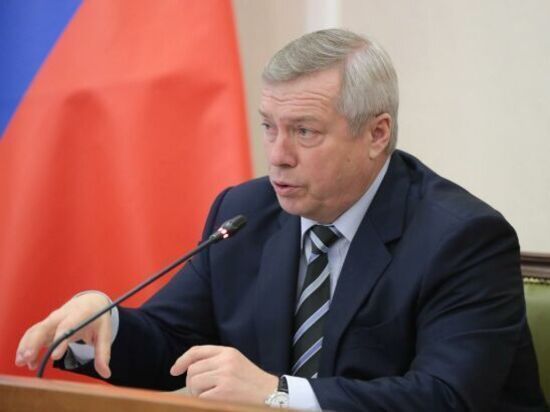 Губернатор Ростовской области Василий Голубев назвал причину огромного лесного пожара