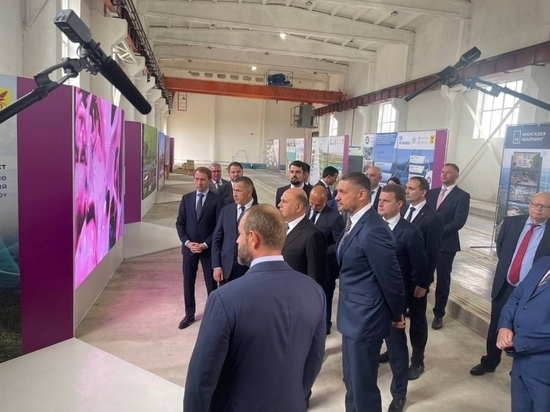 Мишустин призвал работать с инвесторами для снижения безработицы в Забайкалье