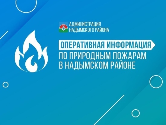В Надымском районе отменили введенный из-за лесных пожаров режим ЧС