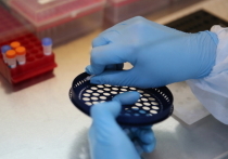 В Забайкалье за сутки выявлено 147 новых случаев заражения коронавирусом