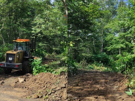 Опасные деревья едва не разрушили могилы на кладбище в Анивском районе