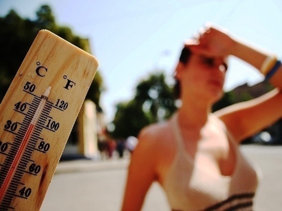 Ярославские спасатели предупредили население об аномальной жаре