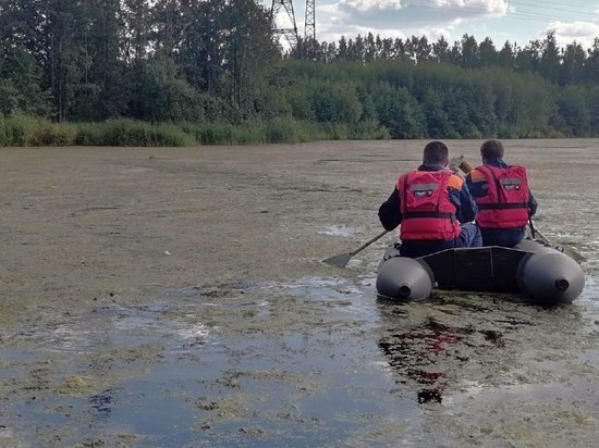 Из челябинского озера извлекли тело утонувшего мужчины