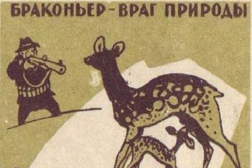 В Костроме охотник отправится на два года в тюрьму и заплатит штраф за убийство шести лосей